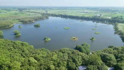 Shekha Lake Bird Sanctuary Declared India s 99th and UP s 12th Ramsar Site
