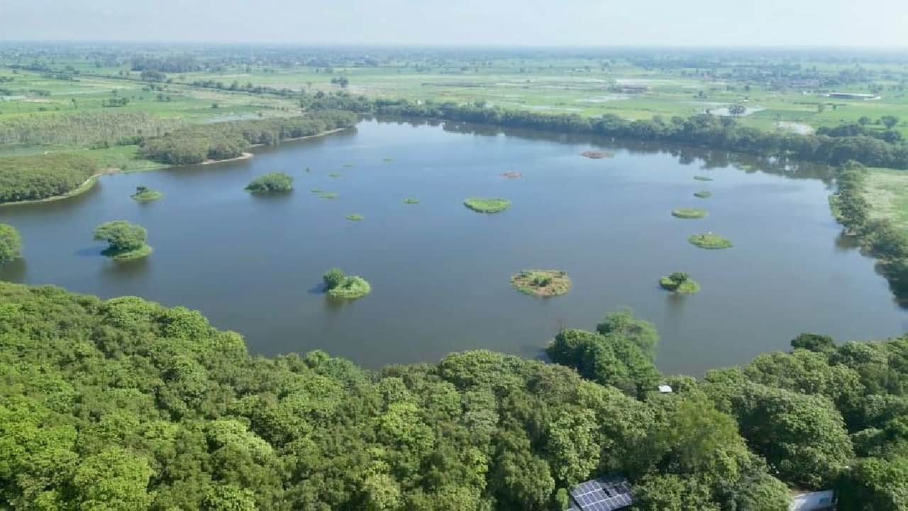 प्रतीकात्मक तस्वीर