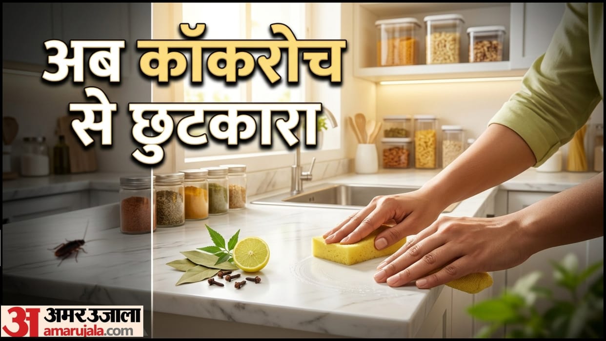 Pest Control Home Remedies Cockroach Removal Tips Ghar Se Cockroach Kaise Bhagaye