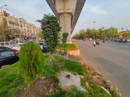 Indore: Illegal hoardings removed from metro track divider after MIC member raised objection