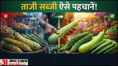 How To Choose Fresh Vegetables Buying Tips In Hindi Taji sabji kaise kharide