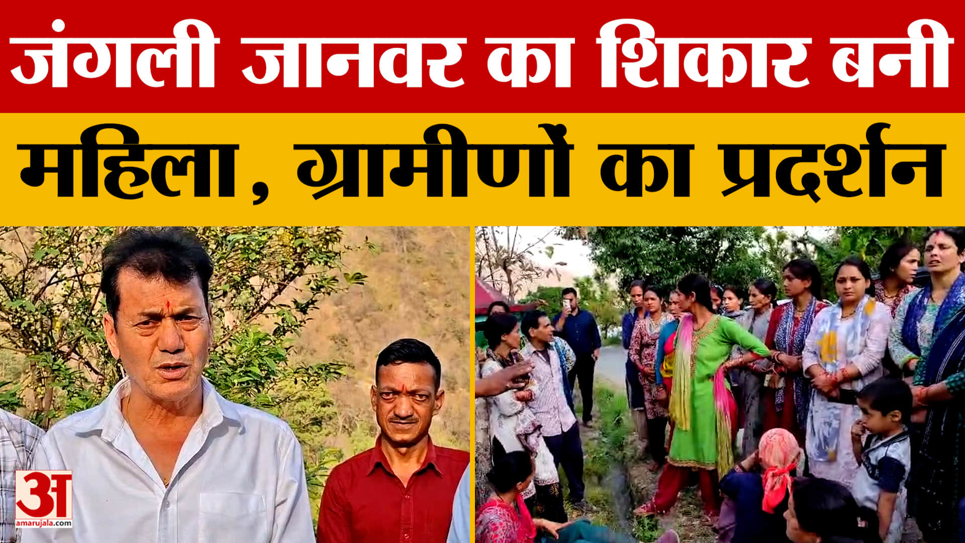 जंगली जानवर का शिकार बनी महिला, ग्रामीणों का प्रदर्शन