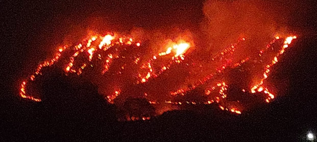 Indore: Dry grass on Janapav hill in Mhow catches fire, clouds of smoke cover the mountain.