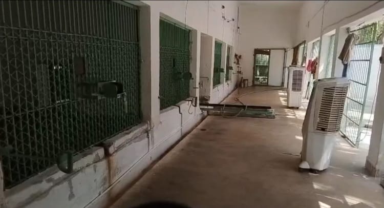 Jharkhand: भीषण गर्मी से जानवरों को राहत; बिरसा मुंडा जैविक उद्यान में कूलर, बाथ टब और खास खानपान की व्यवस्था