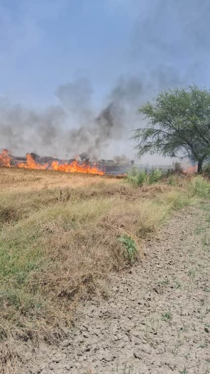 Jalaun fire burns over 100 bigha stubble, moong crop destroyed farmers suffer losses