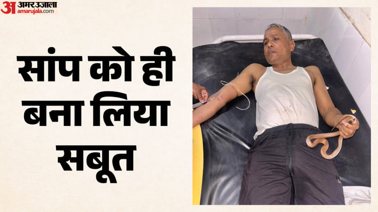 Bihar: सांप ने डसा, तो उसे ही पकड़कर अस्पताल पहुंच गया शख्स, डॉक्टर भी रह गए हैरान