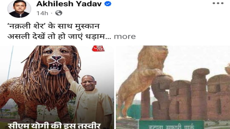 Etawah: Akhilesh Takes a Dig—CM Should Have Visited the Etawah Safari to See a 'Real' Lion...