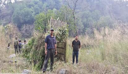 Four cages, 50 trap cameras and scaffolding to contain wildlife after woman's death in Jyoli