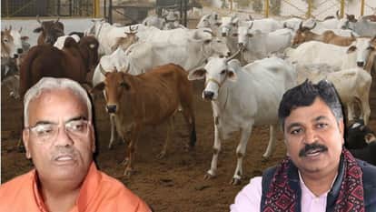 political battle between Julie and Dilawar erupts over cattle refinery and women's reservations in Rajasthan