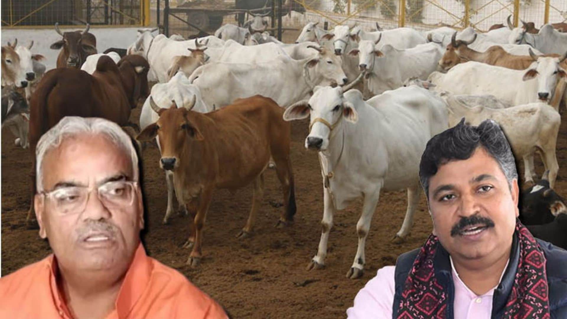 मंत्री मदन दिलावर और नेता प्रतिपक्ष टीकाराम जूली