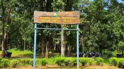 Mandla News: Tiger Cub Found Dead Again in Kanha, Third Death in a Month Raises Forest Department Concerns