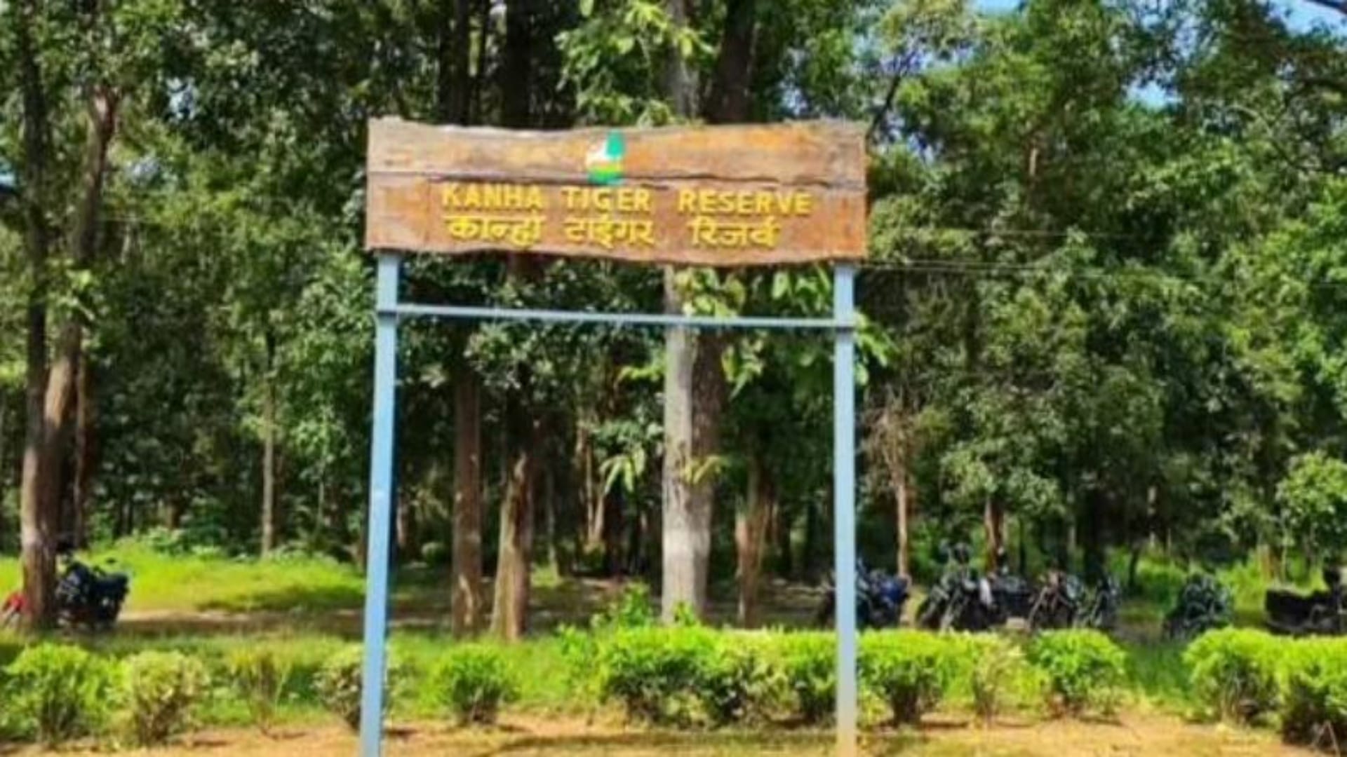 कान्हा में बाघ शावक का शव मिला