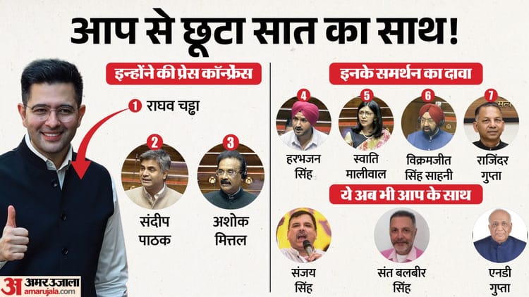 Explainer: AAP में आखिर हुआ क्या, दल-बदल कानून क्या कहता है और चड्ढा ने कितने सांसदों के समर्थन का दावा किया?