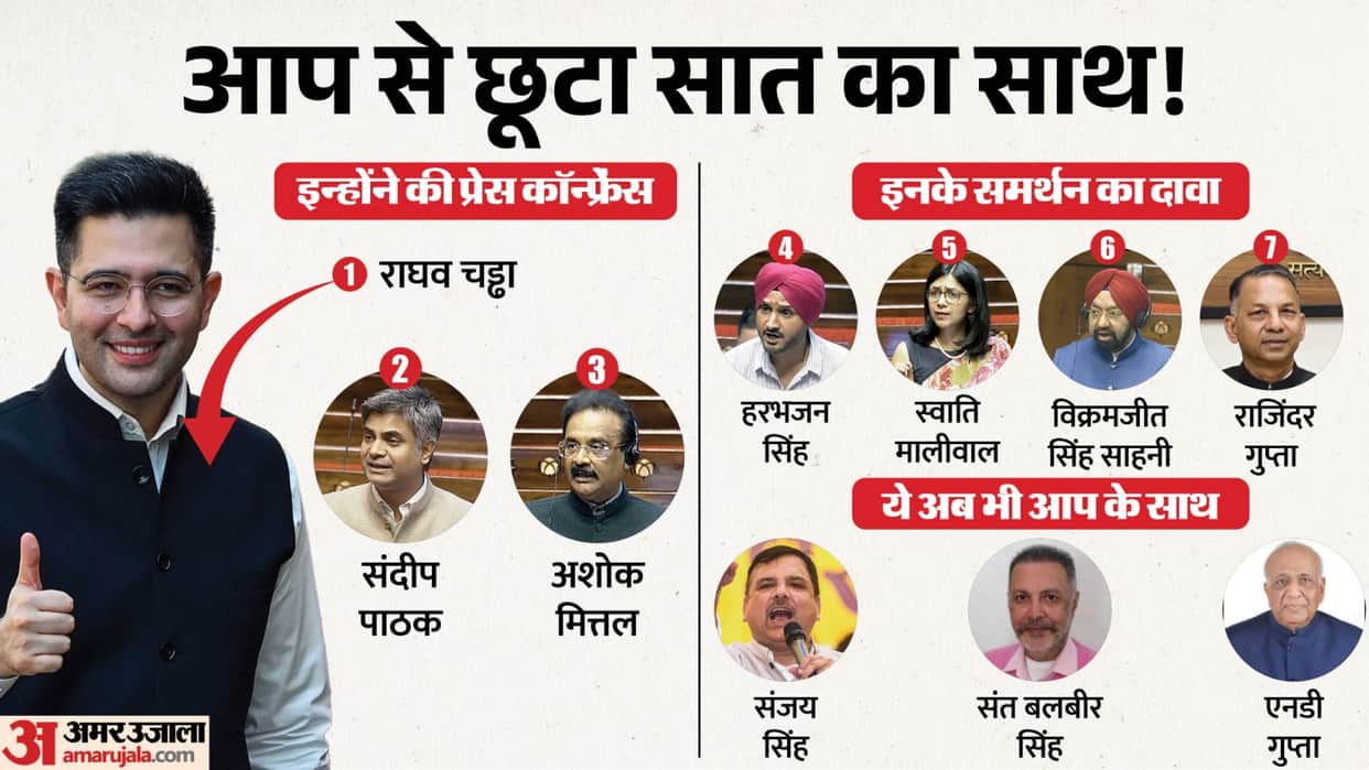 Explainer Raghav Chadha AAP Defection What happened within party know Anti-Defection Law claim of MPs support