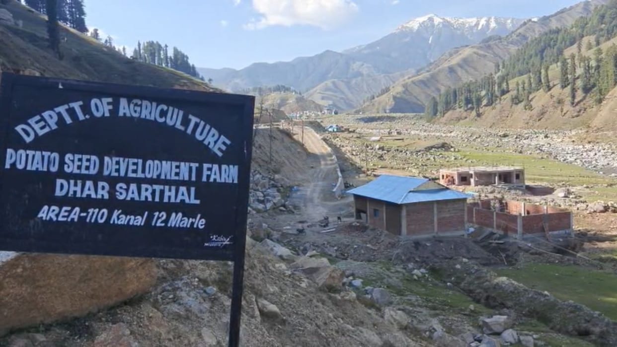 Potato seed farm taking shape in 110 Kanal in Sarthal