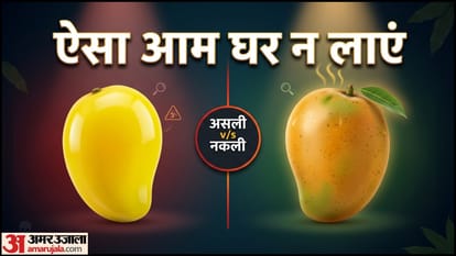 आम की पहचान कैसे करें