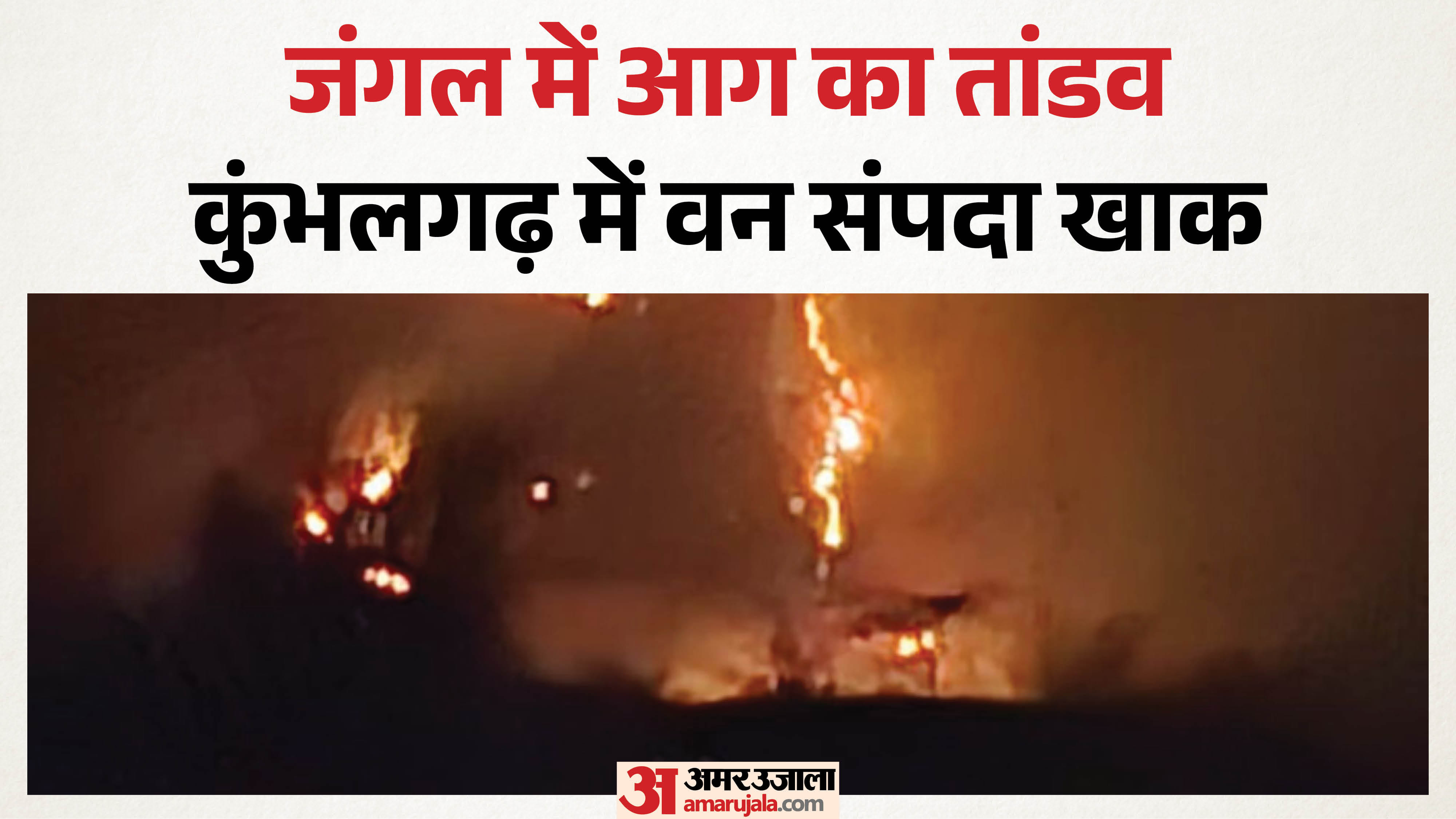 कुंभलगढ़ वन्यजीव अभ्यारण्य में लगी आग