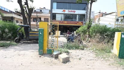 Kanpur Greenbelt 2.5 Crore Greenery Goes Down the Drain Saplings Wither in Kidwai Nagar