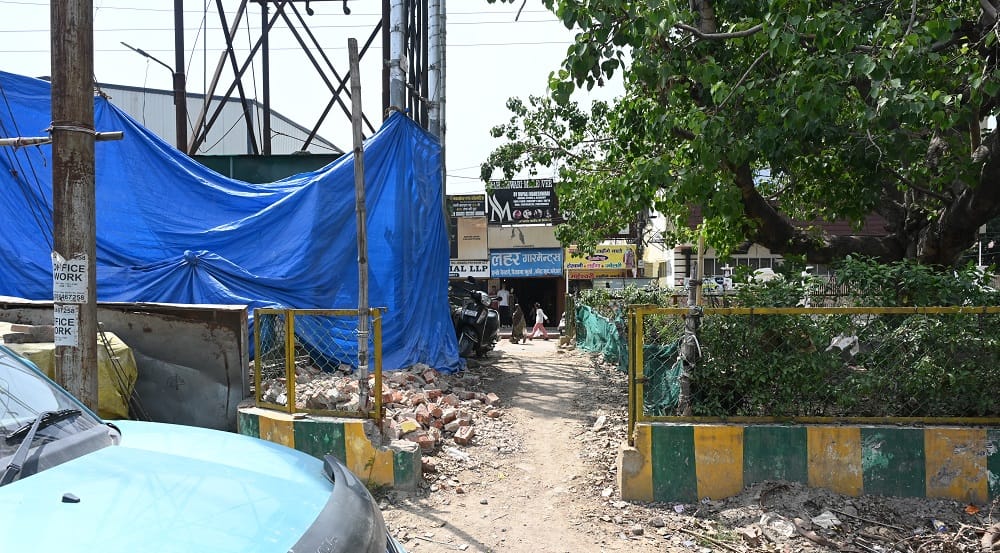Kanpur Greenbelt 2.5 Crore Greenery Goes Down the Drain Saplings Wither in Kidwai Nagar
