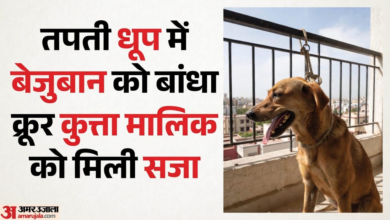 Owner Who Tied Pet Dog to Balcony in Scorching Heat Found Guilty Fined 1050 rs