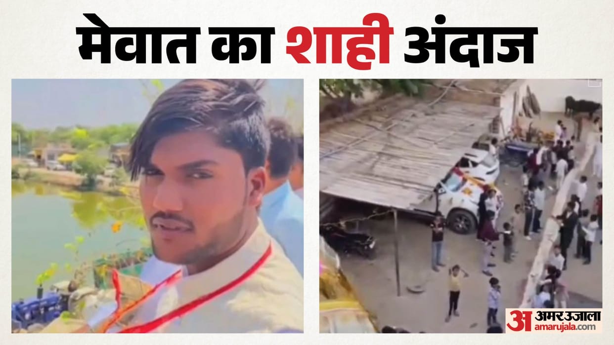 Rajasthan News: ‘Royal’ Groom Goes Viral Wearing 100-Foot Garland of ₹500 Notes, Climbs Roof to Manage It