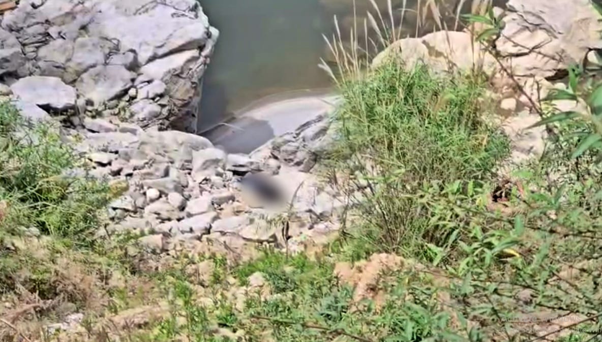 Mandi News Unidentified Body Found on Banks of Beas River Along Mandi-Kullu National Highway