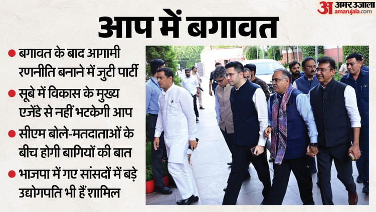 बगावत: राघव चड्डा और संदीप पाठक 'आप' के लिए बड़ी सिरदर्दी, दिग्गज उद्योगपति सांसदों को तोड़ भाजपा ने किया असहज