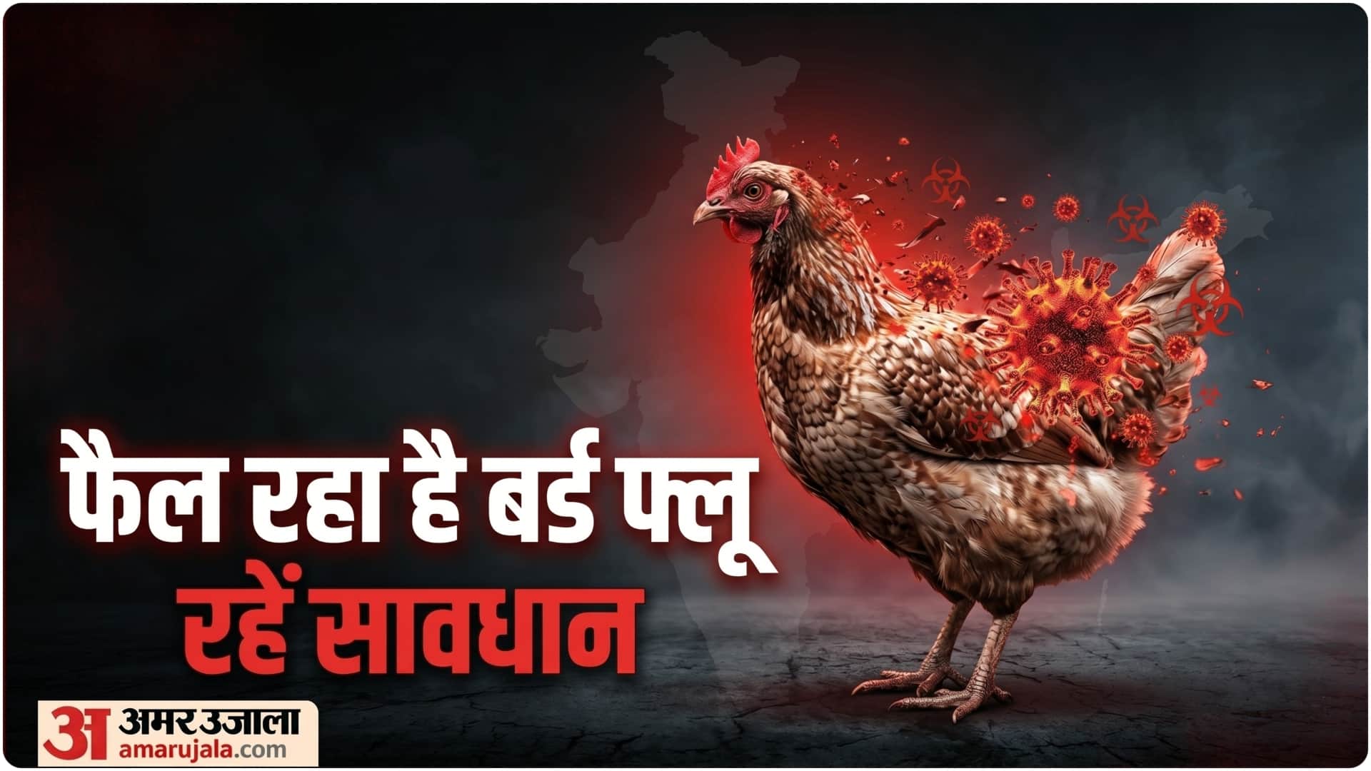 bird flu outbreak latest news in Bengaluru avian influenza risk factors in hindi