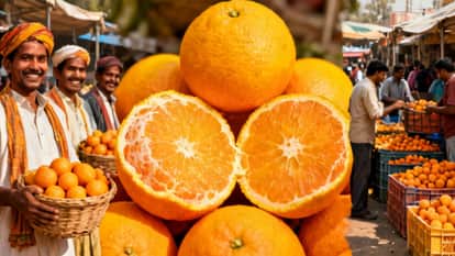 Jhalawar's Oranges Set to Transform Farmers' Fortunes; Powder and Cosmetic Products to Yield Dual Benefits
