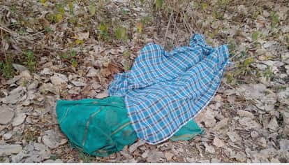 Woman killed, husband and son injured in elephant attack in Bholgarh forest