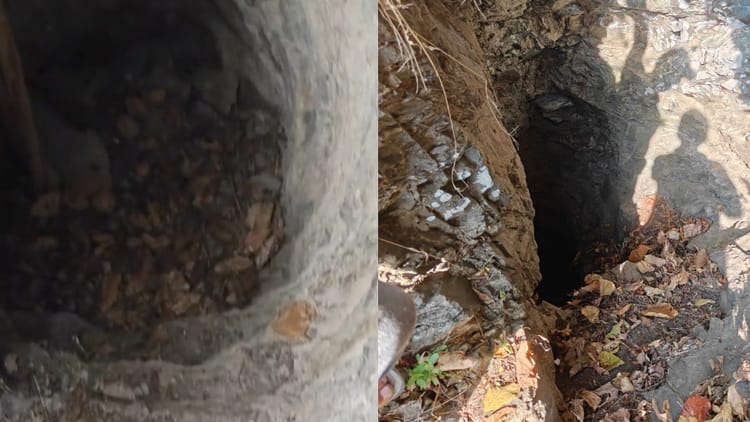 Uttarakhand: पौड़ी में मिली प्राचीन गुफा; अंदर पत्थरों से तराशी सीढ़ियां देख हैरत में पड़े लोग, वीडियो