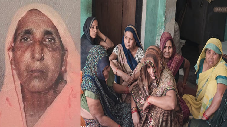 Farrukhabad: दूध लेने जा रही वृद्धा पर मधुमक्खियों का हमला, मौत से मचा कोहराम, बहू, नातिन, नाती समेत कई घायल