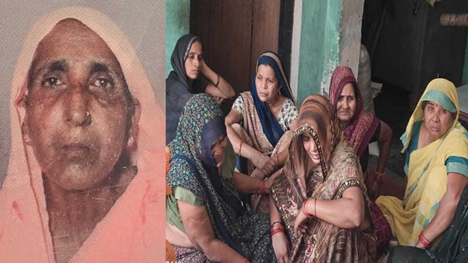 Farrukhabad: Elderly Woman Attacked by Bees While Going to Fetch Milk; Death