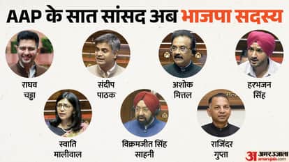Raghav Ashok Mittal Harbhajan Sandeep Vikramjit Sahney Maliwal Rajinder Gupta listed as Rajya Sabha MPs of BJP