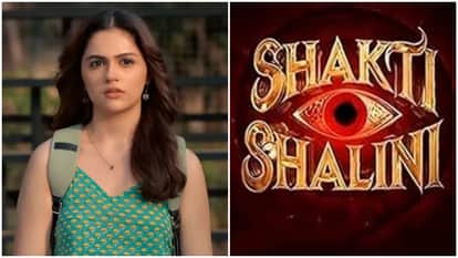 Indian Actors in Double Roles in Upcoming Films Toxic Ramayan Animal Park Kalki 2