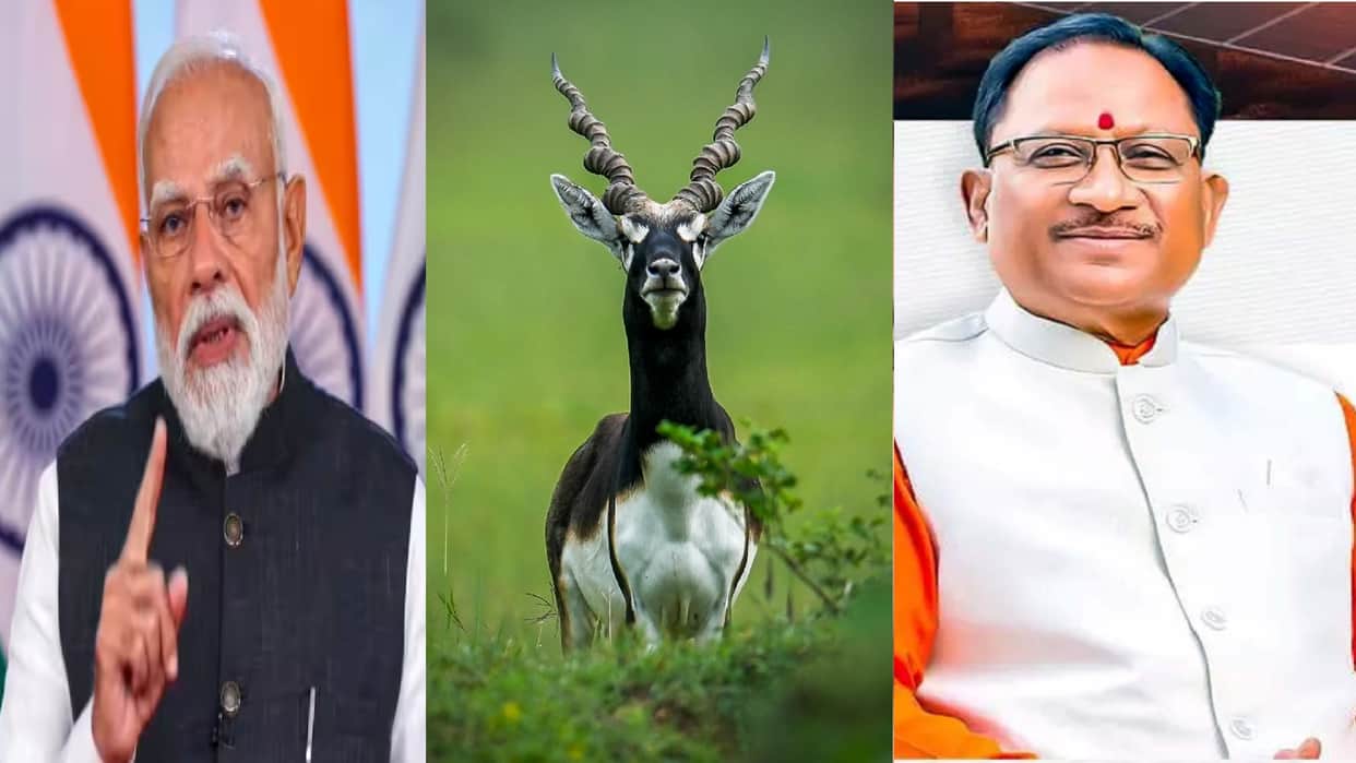 'Mann Ki Baat': PM Modi Praises Blackbuck Conservation Efforts in Chhattisgarh