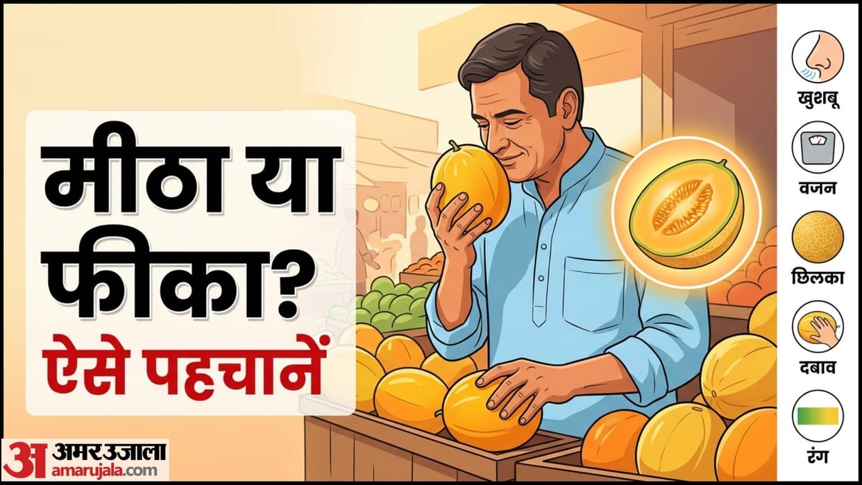 How To Choose Sweet Melon Buying Tips Meetha Kharbuja Kaise Pehchane