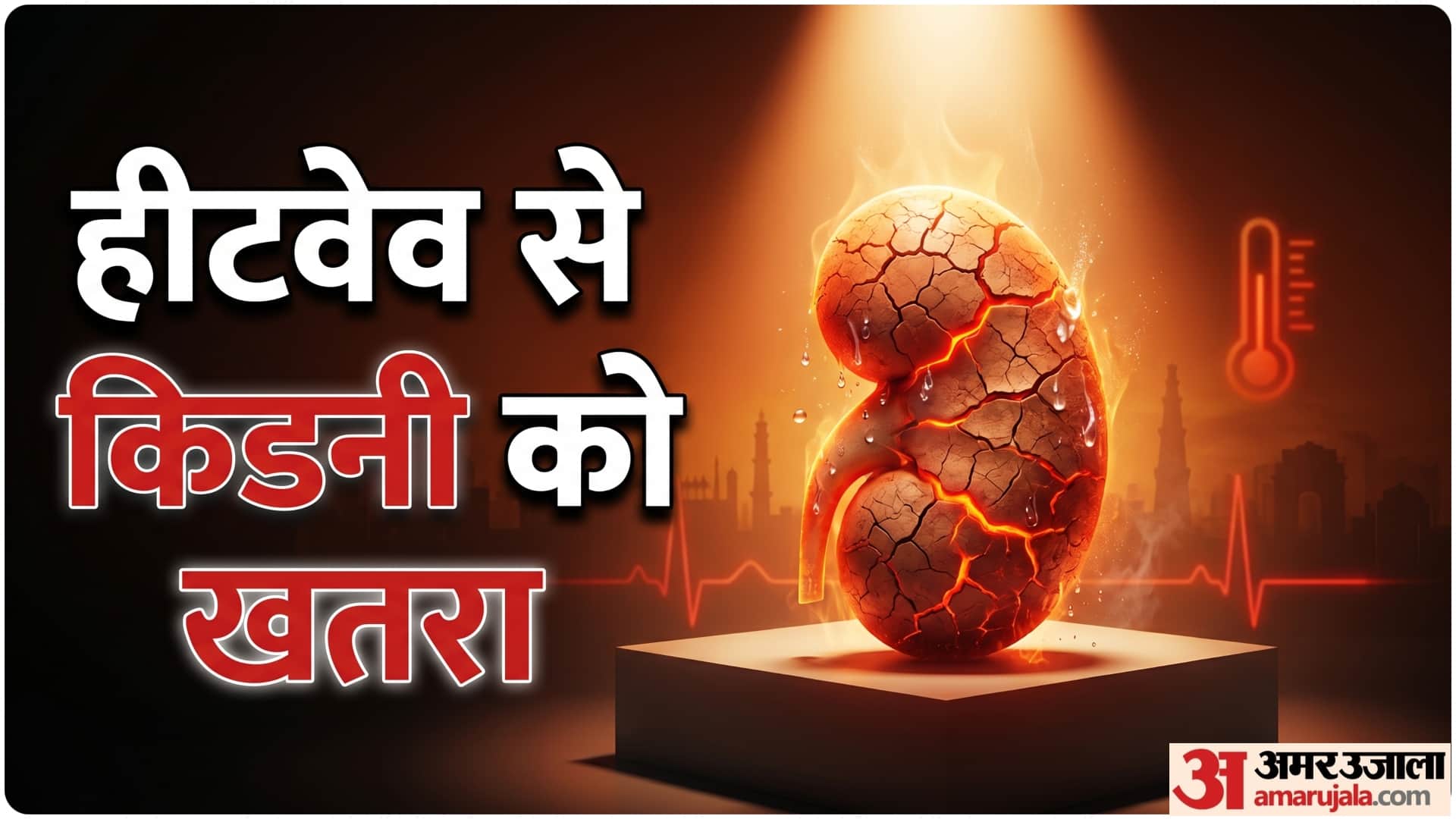 Orange alert for heatwave in Delhi ncr How does a heatwave affect the kidneys