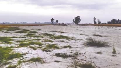 Flood Scars Linger in Fields Farms in Punjab Buried Under Sand Rabi Season Ruined Kharif Season