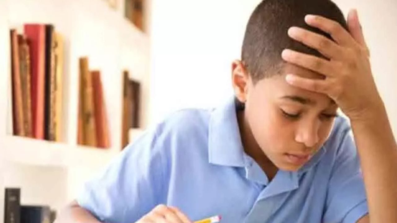 Himachal Chamba District Lags Behind in Class 5 and 8 Results 12 Schools Show Extremely Poor Performance