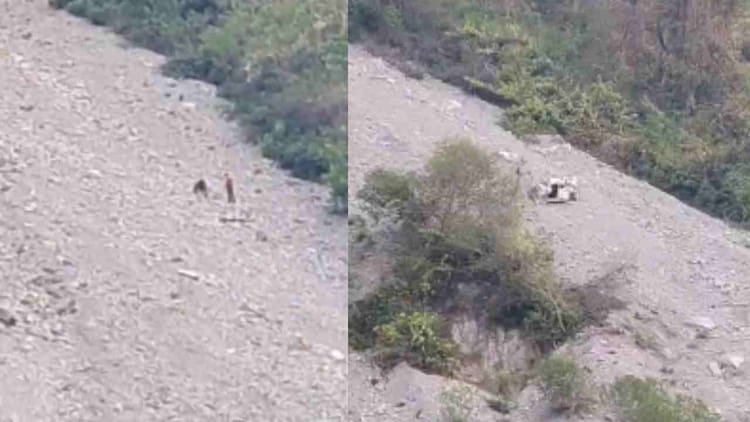 Badrinath Highway: तोताघाटी के पास दिल्ली के श्रद्धालुओं की कार खाई में गिरी, केदारनाथ दर्शन कर लौट रहे थे