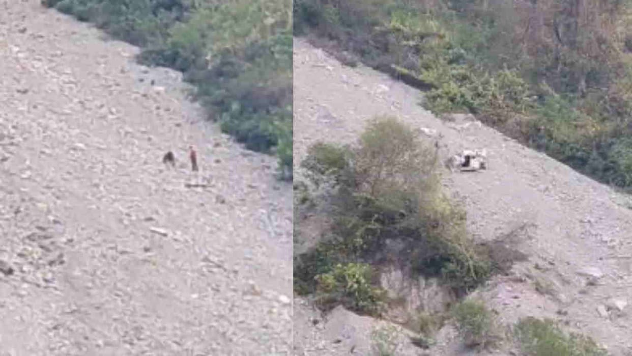 Passengers Car Accident Near Badrinath Highway returning after Kedarnath Dham Death Injuries Missing
