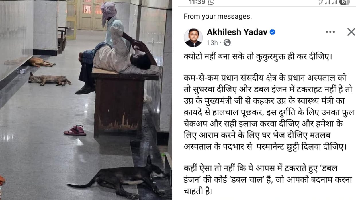 Varanasi News Dogs Roaming in BHU Hospital Pediatric Ward Akhilesh Posts on Facebook Sparking Uproar