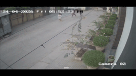 गाय ने मां-बेटियों को उठाकर पटका: बाजार से लौट रही थीं तीनों, कई बार कुचला फिर सींग से मारा; सामने आया वीडियो