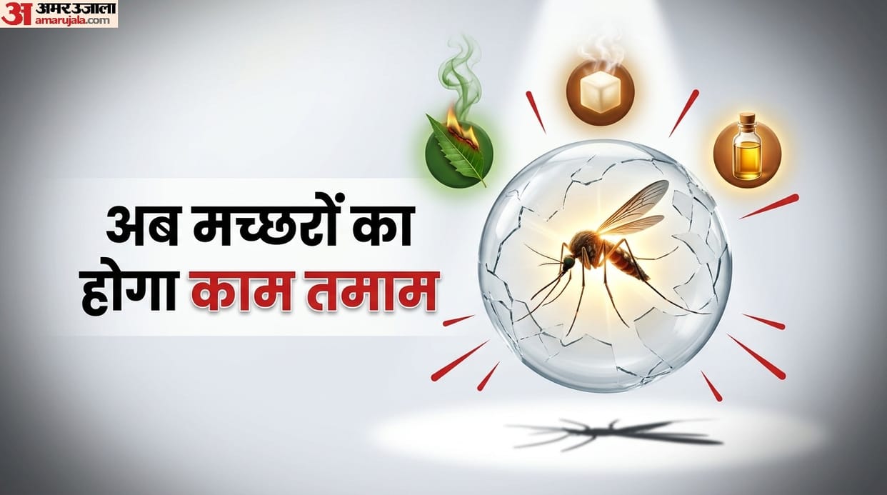 4 Best Ways to Kill Mosquitoes in Summer mein macharo ko kaise bhagayein