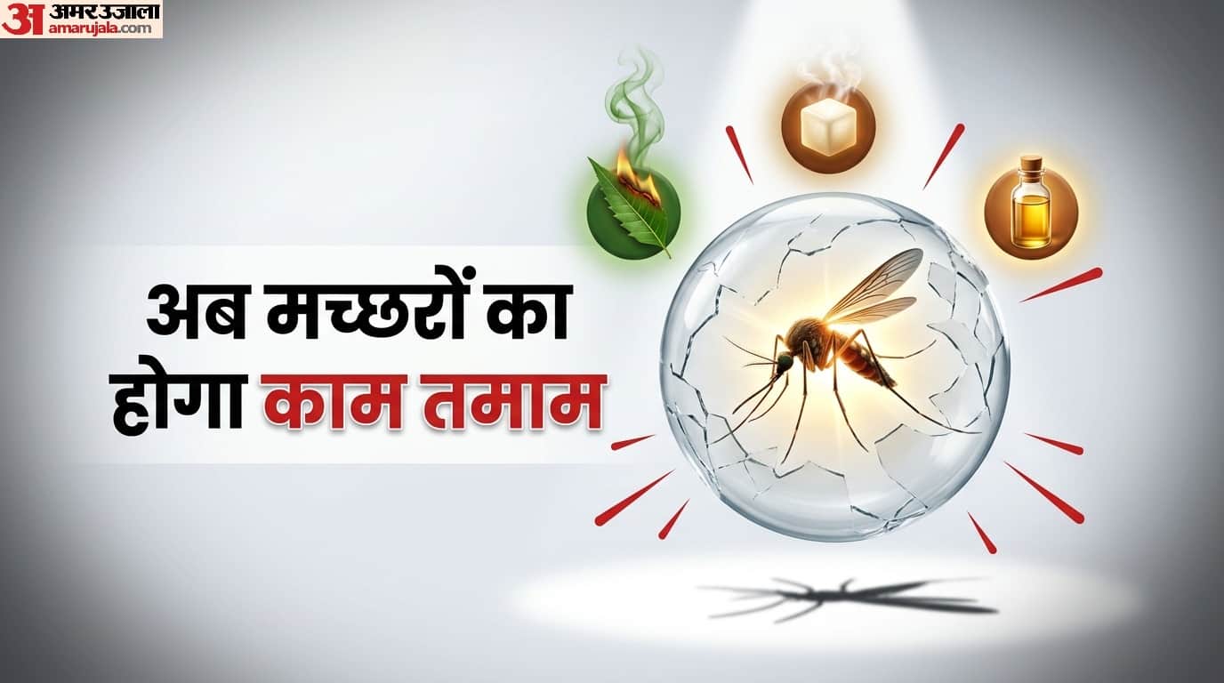 4 Best Ways to Kill Mosquitoes in Summer mein macharo ko kaise bhagayein