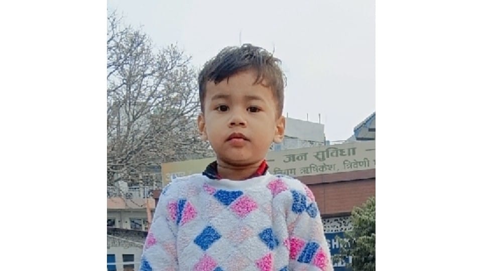 innocent child died after a DJ light truss collapsed at a wedding