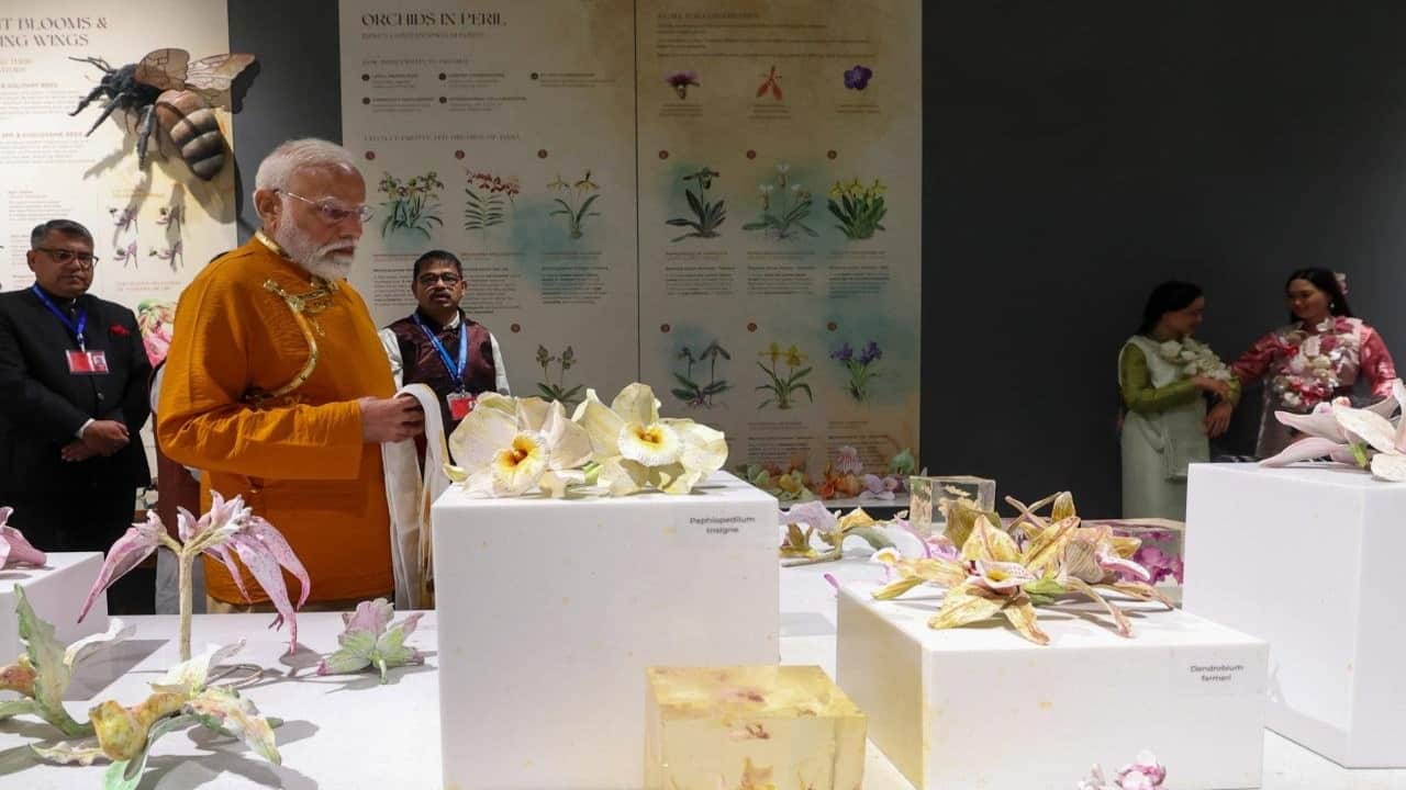 PM Modi's unique style in Gangtok: Played football with young friends, shared photos of the orchidarium
