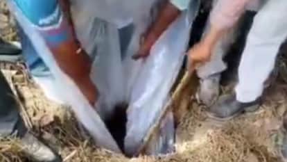 Amritsar Excise Department Cracks Down on Illicit Liquor 11 thousand Liters Lahan Seized