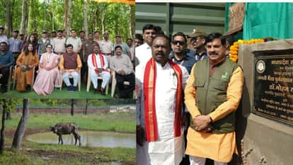 MP News: CM Mohan released 4 wild buffaloes, which will have such an impact on the eco-system, making MP's wil